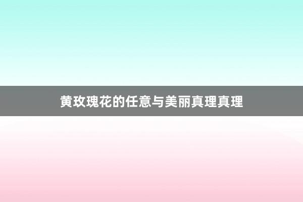 黄玫瑰花的任意与美丽真理真理