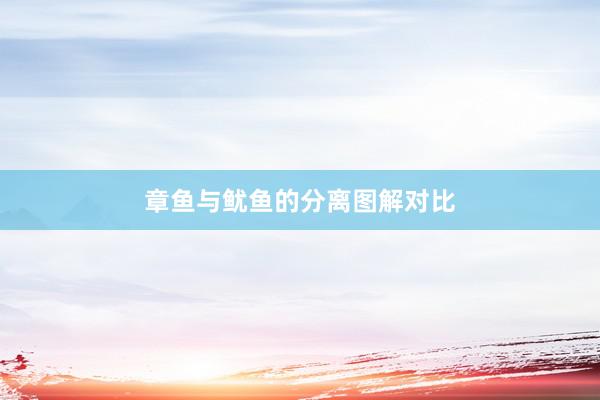章鱼与鱿鱼的分离图解对比