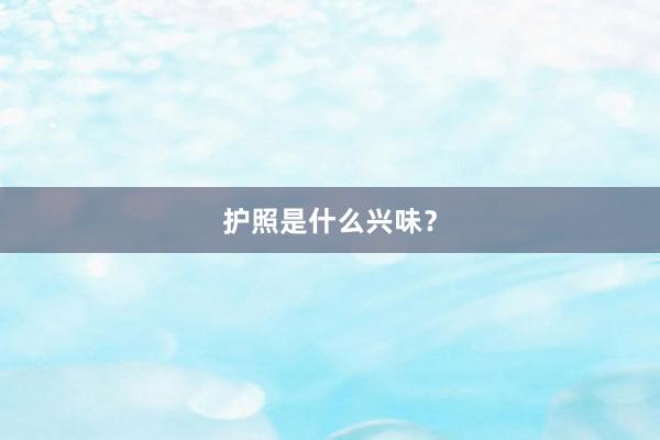 护照是什么兴味？