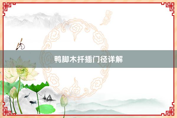 鸭脚木扦插门径详解