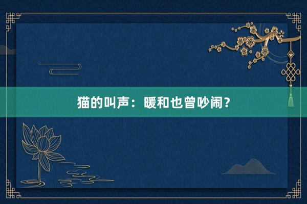 猫的叫声：暖和也曾吵闹？